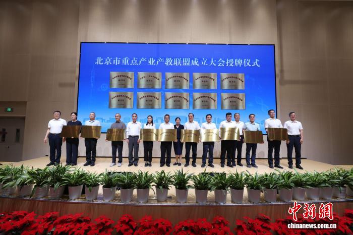 深度解析： - 2026世界杯